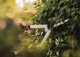 Набір Fiskars: Ножиці для кущів White HS53+ Ножиці для трави White GS41 - изображение 4