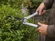 Набір Fiskars: Ножиці для кущів Fiskars White HS53 + Гілкоріз білий White L32 - зображення 3