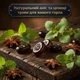 Набор леденцов Hašlerky Original 90 г 10 шт Чешские травяные конфеты блок травяных леденцов для горла и от кашля Хашлерки 900 г - изображение 5