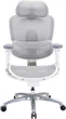 Офисное кресло Sihoo C300 LITE V2 White (C300-LITE-V2-B102) - изображение 1