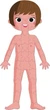 Puzzle edukacyjne Janod Ciało człowieka 225 elementów J02681 (3700217326814) - obraz 7