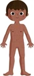 Puzzle edukacyjne Janod Ciało człowieka 225 elementów J02681 (3700217326814) - obraz 8