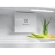 Вбудований холодильник ELECTROLUX ERD6DE18S4 - зображення 6
