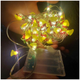 Гирлянда светодиодная на батарейках и USB 5м 50LED Теплый белый 2 режима для елки SQ-26356 - изображение 8