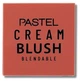 Рум'яна кремові Pastel Profashion тон 42 Rosery - зображення 1