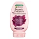 Odżywka do włosów Garnier Botanic Therapy Grape Moisture nawilżająca 200 ml (3600542681070) - obraz 1