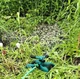 Спринклер-дождеватель для газона и огорода, поворотный полив 360° до 13 м - изображение 3
