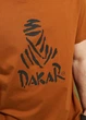 Футболка мужская с принтом Diverse DKR LOGO 263 M Кэмел (5905384281852) - изображение 5