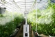 Промисловий ультразвуковий зволожувач повітря 15л Doctor-101 GardenFog. Туманоутворювач для теплиць і оранжерей з чотиристоронньою насадкою (HQ-JS150H) - зображення 6