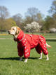 Дощовик для великих порід собак 5XL 61-62cm Самоід Хаскі Лайка Dog's Happiness Червоний Хлопчик 0111-01/20 - изображение 2