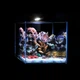Морской аквариумный набор AquaLighter Nano Marine Set 15 л 25×25×25 см со светильником и фильтром (7143) - изображение 6