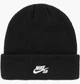 Шапка Nike Terra Sb Futura Beanie ONE SIZE Чорний HF7003-010 - изображение 1