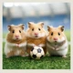 Календарь настенный Helma 2027 Little Fun, 30x30 см (LP04-27) - изображение 3