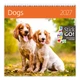Календарь настенный Helma 2027 Dogs, 30x30 см (LP02-27) - изображение 1