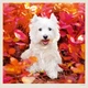 Календарь настенный Helma 2027 Dogs, 30x30 см (LP02-27) - изображение 3