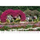Календарь настенный Helma 2027 Gardens, 45x31,5 см (N130-27) - изображение 6