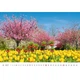 Календарь настенный Helma 2027 Gardens, 45x31,5 см (N130-27) - изображение 9