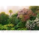 Календарь настенный Helma 2027 Gardens, 45x31,5 см (N130-27) - изображение 10