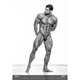 Календарь настенный Helma 2027 Men, 33,4x48,5 см (N276-27) - изображение 13