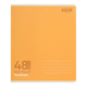 Зошит 48арк. # ZiBi 1705-11 MONOCHROME, Геометрія (10) /ZB.1705-11/ - изображение 1