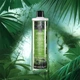 Шампунь-гель для душа для мужчин «тропические джунгли», 500 мл avon jungle - изображение 1