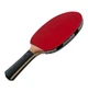 Теннисная ракетка Donic Waldner 3000 New ONE SIZE Комбінований 751803 - изображение 4