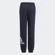 Штани підліткові ADIDAS ESSENTIALS K GN4036 122, чорний - зображення 2