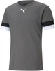 Футболка Puma teamRISE Jersey серый Муж M 704932-13 M - изображение 1