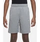 Шорты детские Nike Short 137-147 CM Серый DO7093-091 - изображение 3