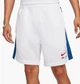 Шорты мужские Nike Nsw Sw Air Short Ft White L Белый FN7701-100 - изображение 1