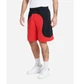 Шорты мужские Nike Sportswear Color Clash Men's Fleece Shorts L Черный DR9856-010 - изображение 3