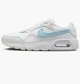 Кросівки жіночі Nike Air Max Sc 41 Білий CW4554-112 - зображення 1
