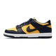 Кросівки жіночі Nike Dunk Low Gs 37.5 Комбінований CW1590-700 - зображення 1
