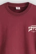 Світшот Levi's 50(L) Бордовий (156423) - зображення 2
