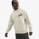 Худи мужское Nike M Nk Solo Sw Flc Hoodie Gpx S IH4293-229 - изображение 1