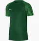 Футбольная футболка мужская Nike Dri-Fit Academy XL Зеленый DH8031-302 - изображение 1
