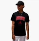 Футболка чоловіча Jordan M J City 88 Ss Crew XS Чорний HQ0009-010 - зображення 1