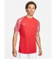 Футболка мужская Nike Dri-Fit Academy L Красный DH8031-657 - изображение 3
