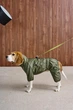 Дождевик флис для собак Dogs Bomba Молния хаки MF-44 6р - изображение 2