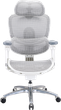 Fotel biurowy ergonomiczny Sihoo DORO C300 LITE V2 White (4820216980127) - obraz 1