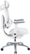 Fotel biurowy ergonomiczny Sihoo DORO C300 LITE V2 White (4820216980127) - obraz 3