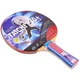 Ракетка для настольного тенниса GIANT DRAGON TAICHI P40+ 3star MT-6508 ST12305P40 - изображение 1