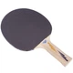 Ракетка для настольного тенниса DONIC APPELGREN LEVEL 200 MT-703002 - изображение 2