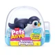 Интерактивная игрушка для ванны Pets Alive Пингвинчик чёрный плавает - изображение 1