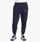 Брюки мужские Nike Paris Saint-Germain Tech Fleece Blue S Синий DV4836-498 - изображение 1