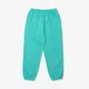 Брюки мужские Nike Solo Swoosh Men's Fleece Pants L Бирюзовый CW5460-393 - изображение 1