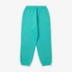 Брюки мужские Nike Solo Swoosh Men's Fleece Pants L Бирюзовый CW5460-393 - изображение 5