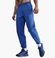 Брюки мужские Nike Dri-Fit Blue L Синій FB7497-411 - изображение 1