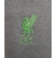 Брюки чоловічі Nike Liverpool F.C. Tech Fleece Grey M Сірий DV4834-071 - зображення 6