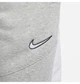 Брюки мужские Nike M Nsw Sp Flc XL Сірий FN0246-063 - изображение 3